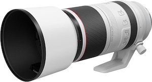 Canon RF100-500mm F4.5-7.1 L